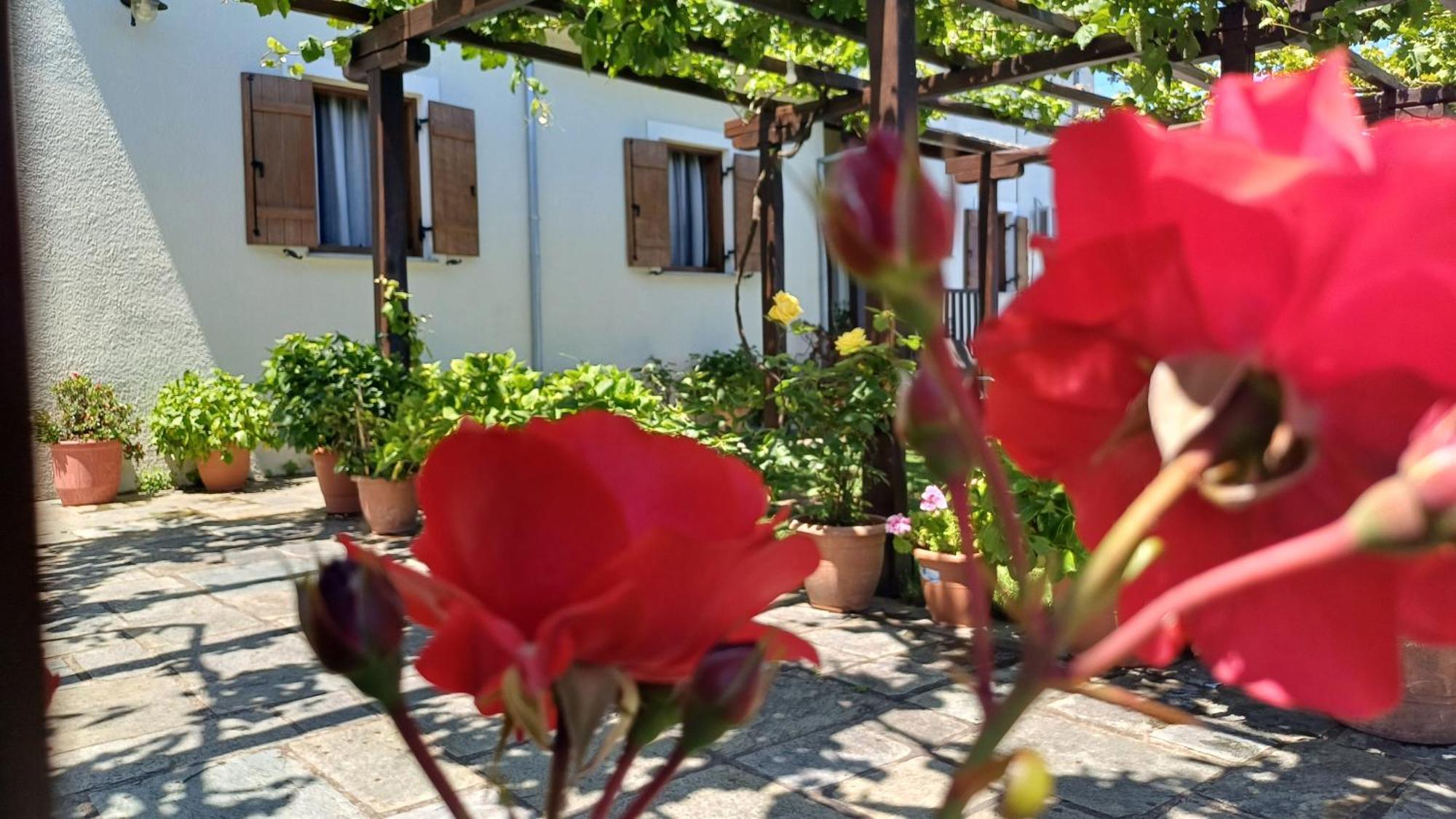 Olga Studios تساغارادا المظهر الخارجي الصورة